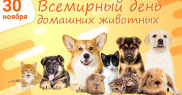 День домашних животных День домашних животных.