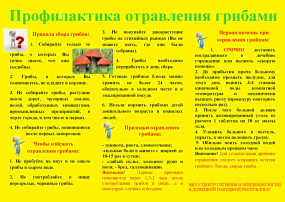 Осторожно грибы! Осторожно грибы!.